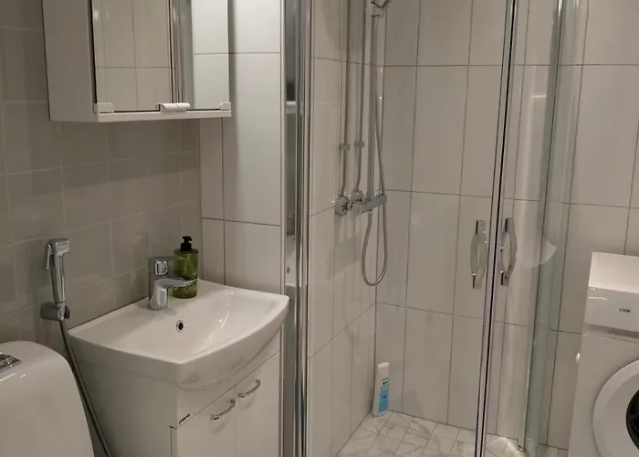 Active Teerenpeli 瓦萨