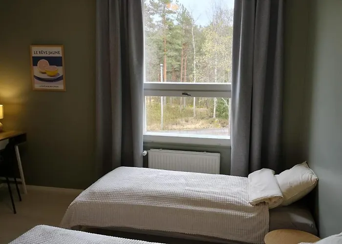 Active Teerenpeli * 瓦萨